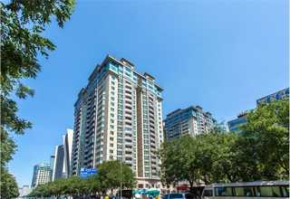 安徽C2400黄铜带规格